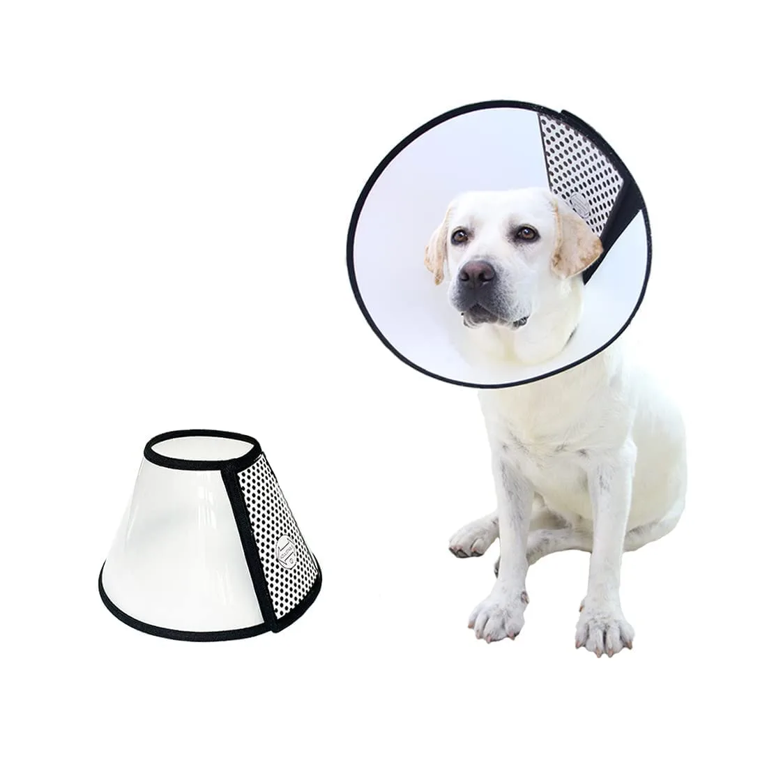 Dog Ecollar 1-7 Sizes - Image 3