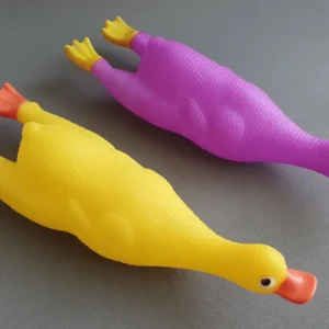 Duck Squeaker Dog