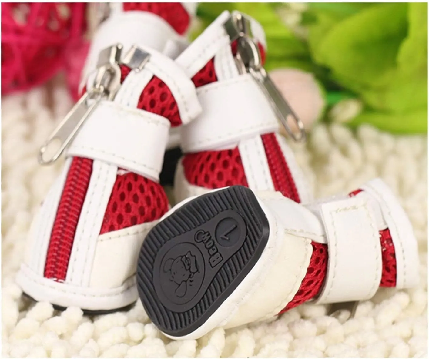 Pet Shoes 5 Number - Image 5