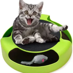 Pet Tumbler Mouse – Color Box