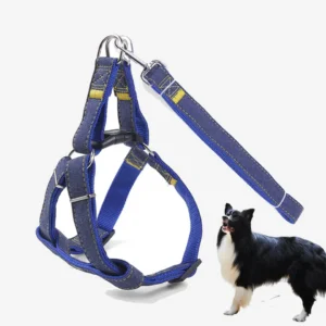Dog Harness Set 15mm | Dog Harness Belts Neck and Rope Set | Dog Harness & Leash For Dog