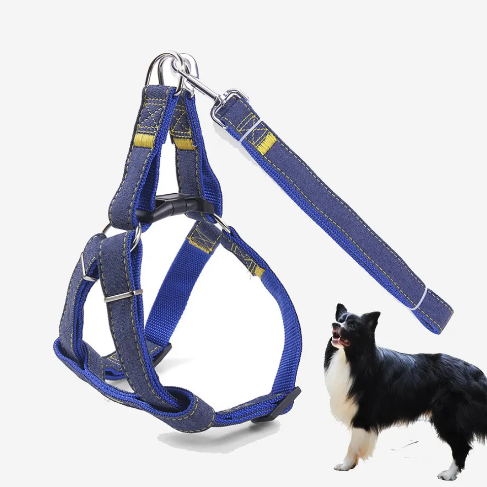 Dog Harness Set 15mm | Dog Harness Belts Neck and Rope Set | Dog Harness & Leash For Dog