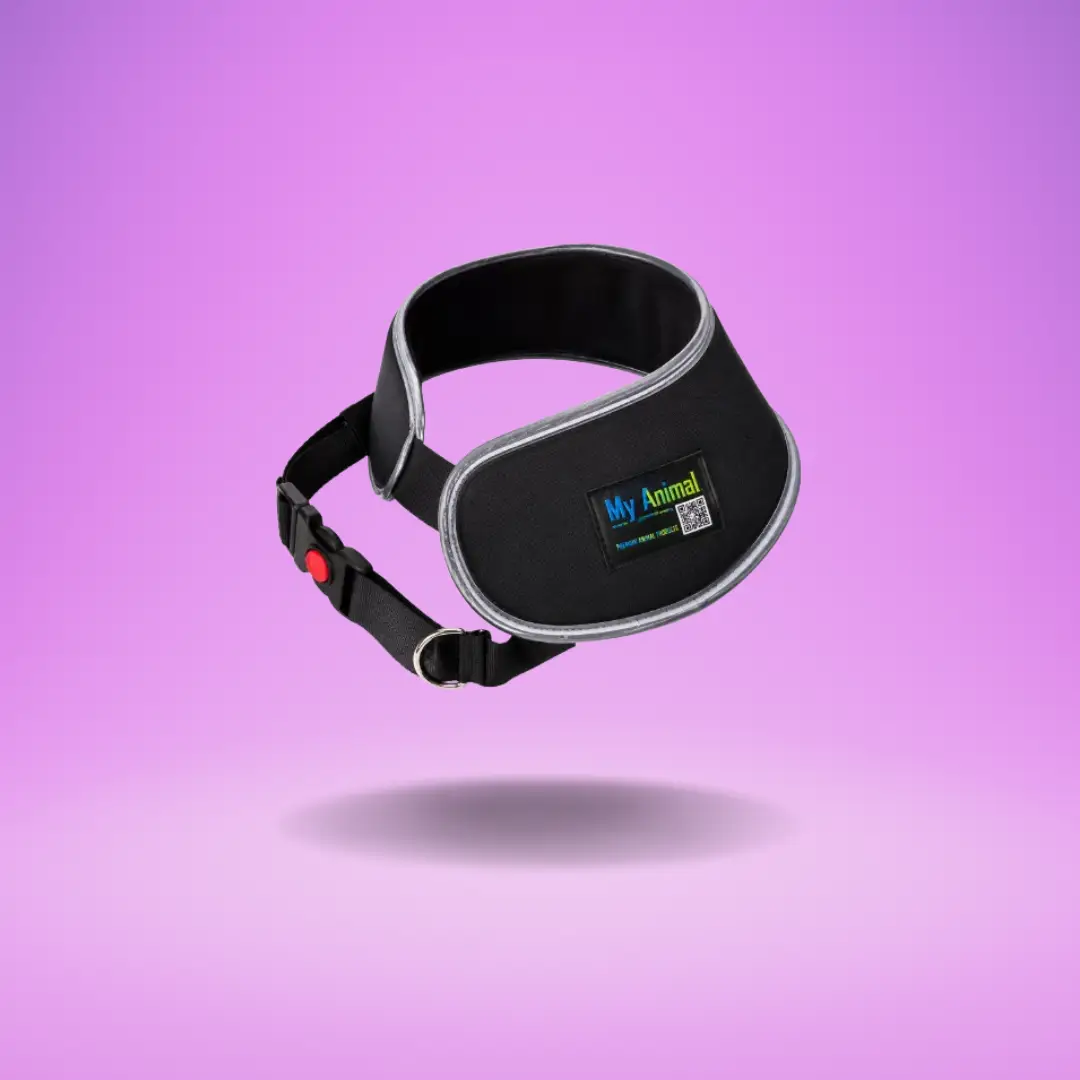 Smart Neckband - Image 6
