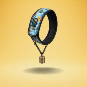 Smart Neckband