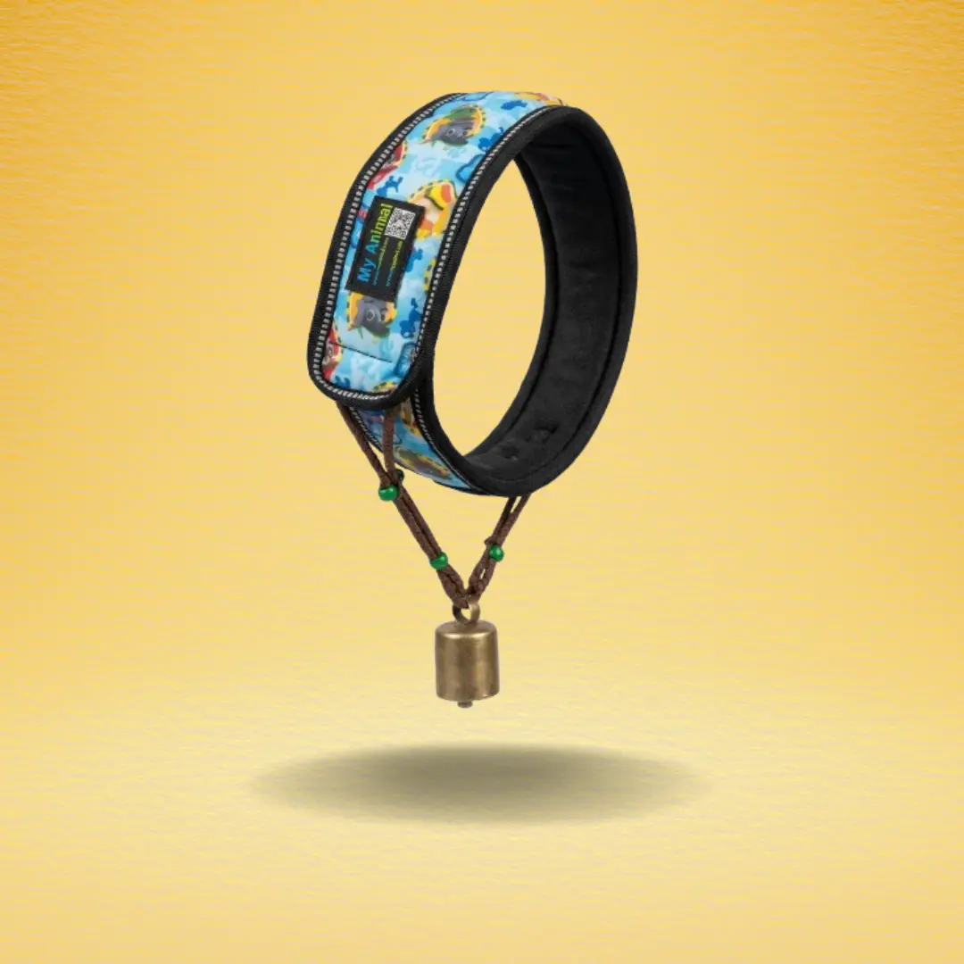Smart Neckband